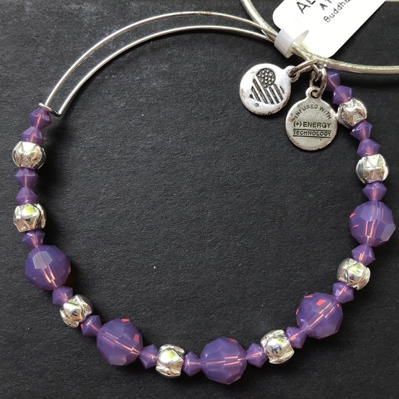 Alexa and Ani bracelet - Picture 3 of 4